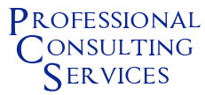 Professional Consulting Services
